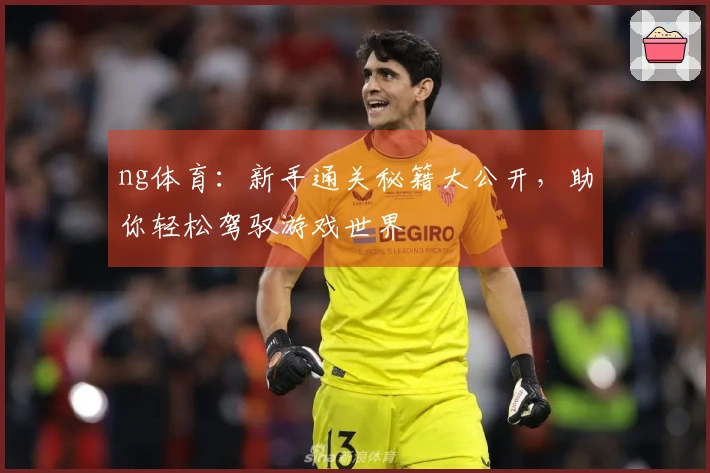 ng体育：新手通关秘籍大公开，助你轻松驾驭游戏世界