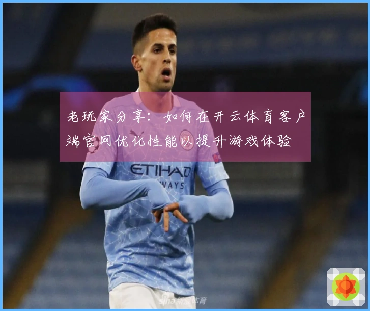 老玩家分享：如何在开云体育客户端官网优化性能以提升游戏体验