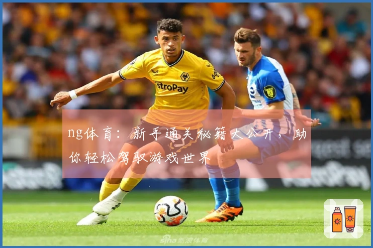 ng体育：新手通关秘籍大公开，助你轻松驾驭游戏世界