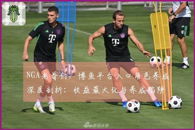 NGA老哥们，博鱼平台入口角色养成深度剖析：收益最大化与养成陷阱避坑指南
