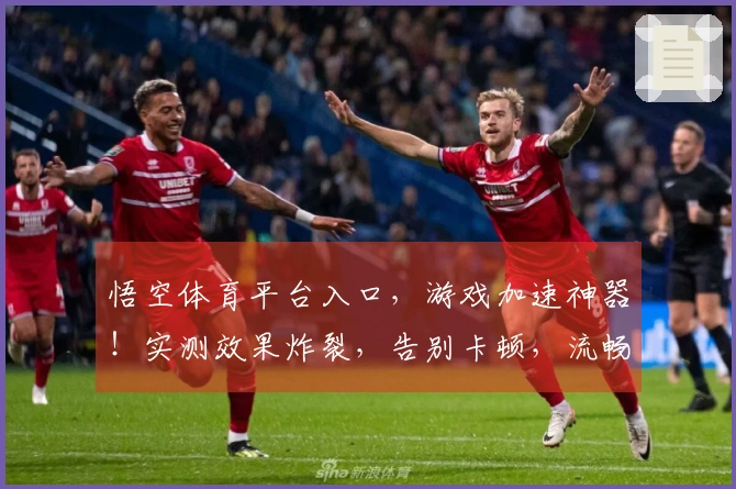 悟空体育平台入口，游戏加速神器！实测效果炸裂，告别卡顿，流畅体验up up！