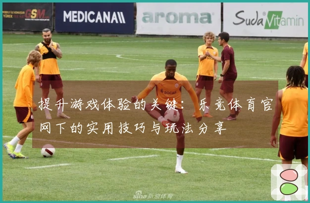 提升游戏体验的关键：乐竞体育官网下的实用技巧与玩法分享